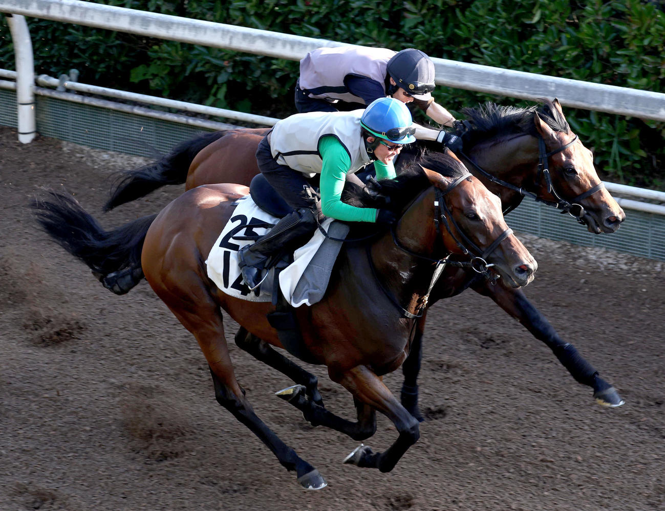 小牧太騎手を背に坂路を併せ馬で追い切るワールドウインズ（撮影・白石智彦）