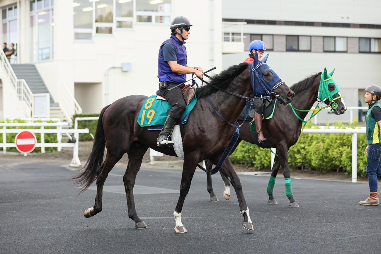 7月30日、札幌競馬場でデビューに向け調整されるリアンベーレ