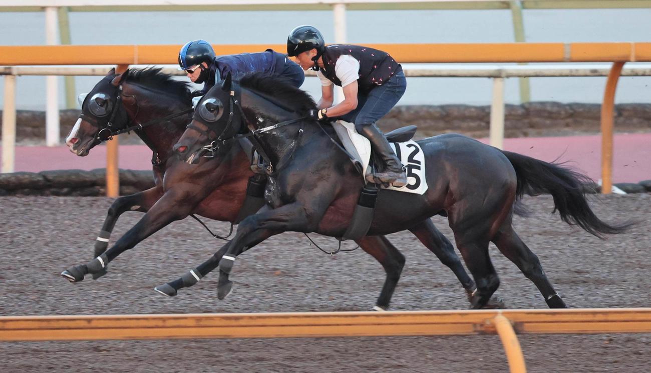 松山弘平騎手を背にCウッドを併せ馬で追い切るトゥードジボン（左）