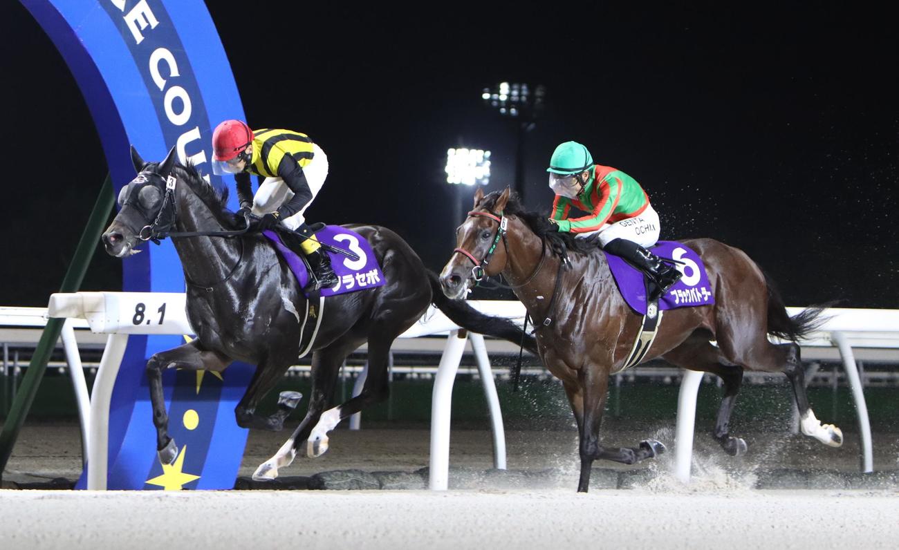 王冠賞を制したプラセボ。右は2着ブラックバトラー（撮影・奥村晶治）