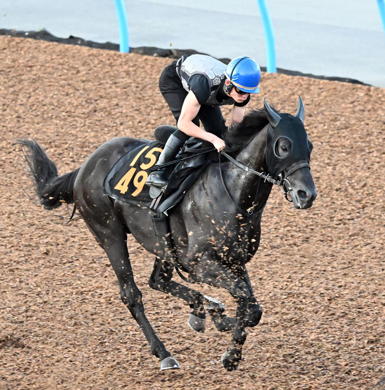 美浦ウッドで追い切るロジリオンと永野騎手（撮影・千葉一成）