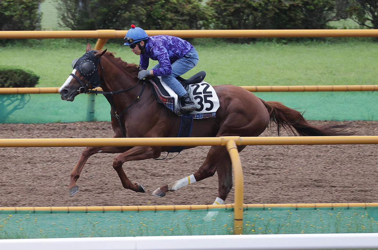 7月31日、函館ウッドチップコースで、併せ馬で追い切られるユティタム