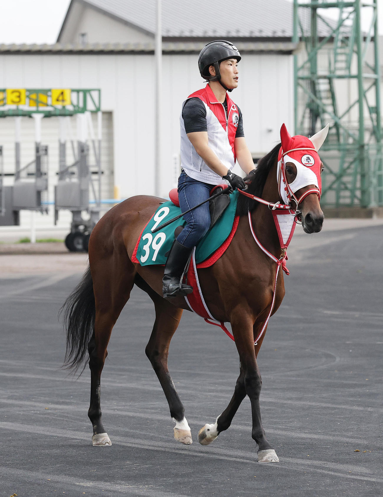 函館競馬場で調整するシカレ