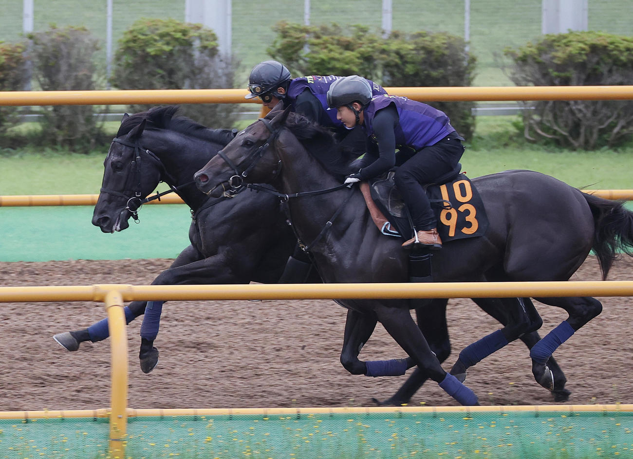 函館ウッドチップコースで、併せ馬で追い切られるノースタンダード（奥）