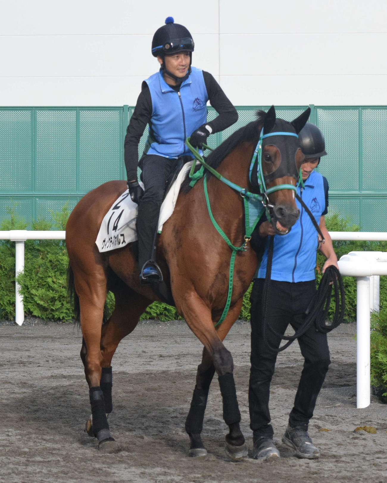 角馬場へと向かうヴィクティファルス（撮影・桑原幹久）
