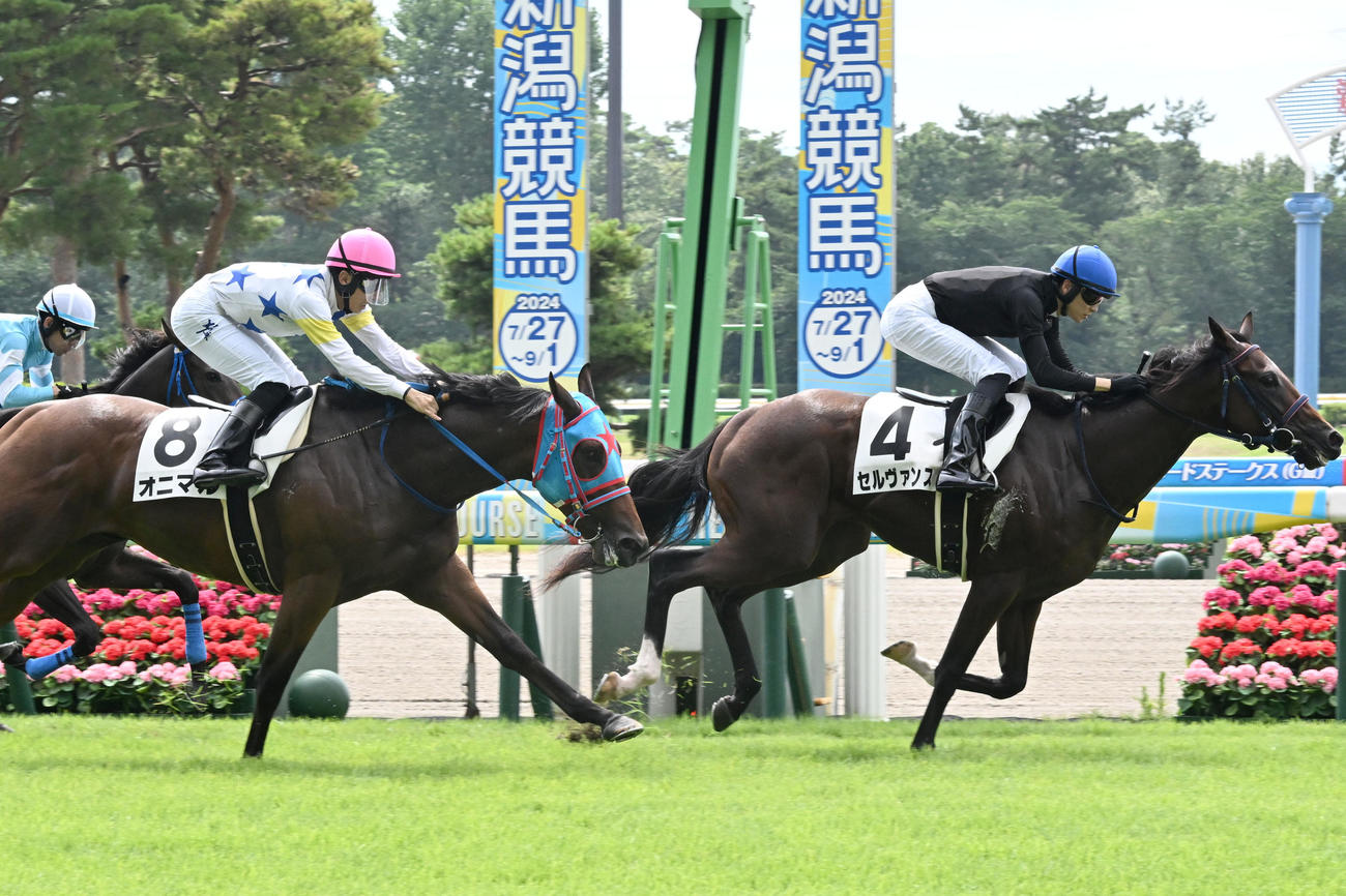 新潟1R 2歳未勝利戦を制したセルヴァンスと坂井騎手（右）（撮影・千葉一成）