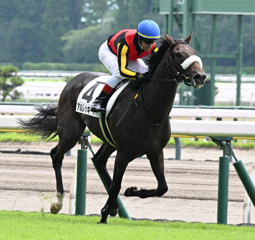 アルレッキーノ7馬身差V、ルメール騎手「楽勝でした」／新潟2R - 2