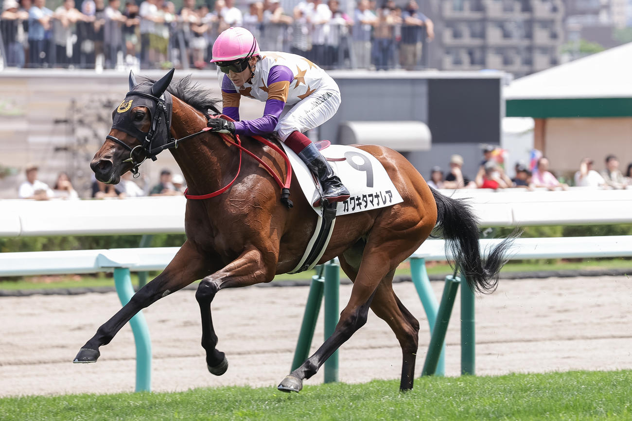 デビュー戦を制したカワキタマナレアと鮫島駿騎手（撮影・村野早祐）