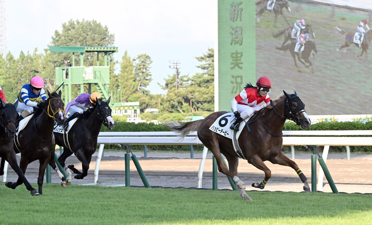 新潟10R 3歳未勝利戦を制したハッピーデービーと大江原騎手（右）（撮影・千葉一成）