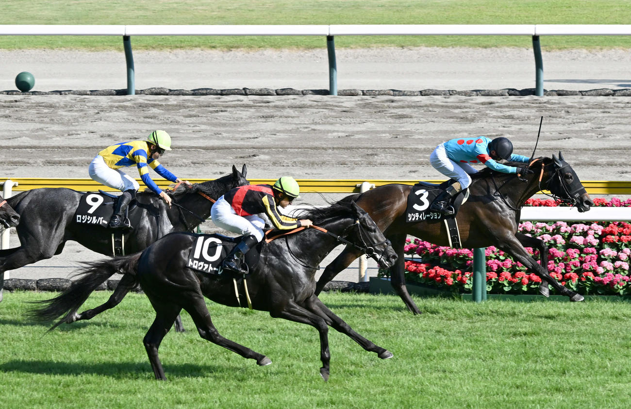 新潟日報賞を制したシンティレーションと和田竜騎手（右）
