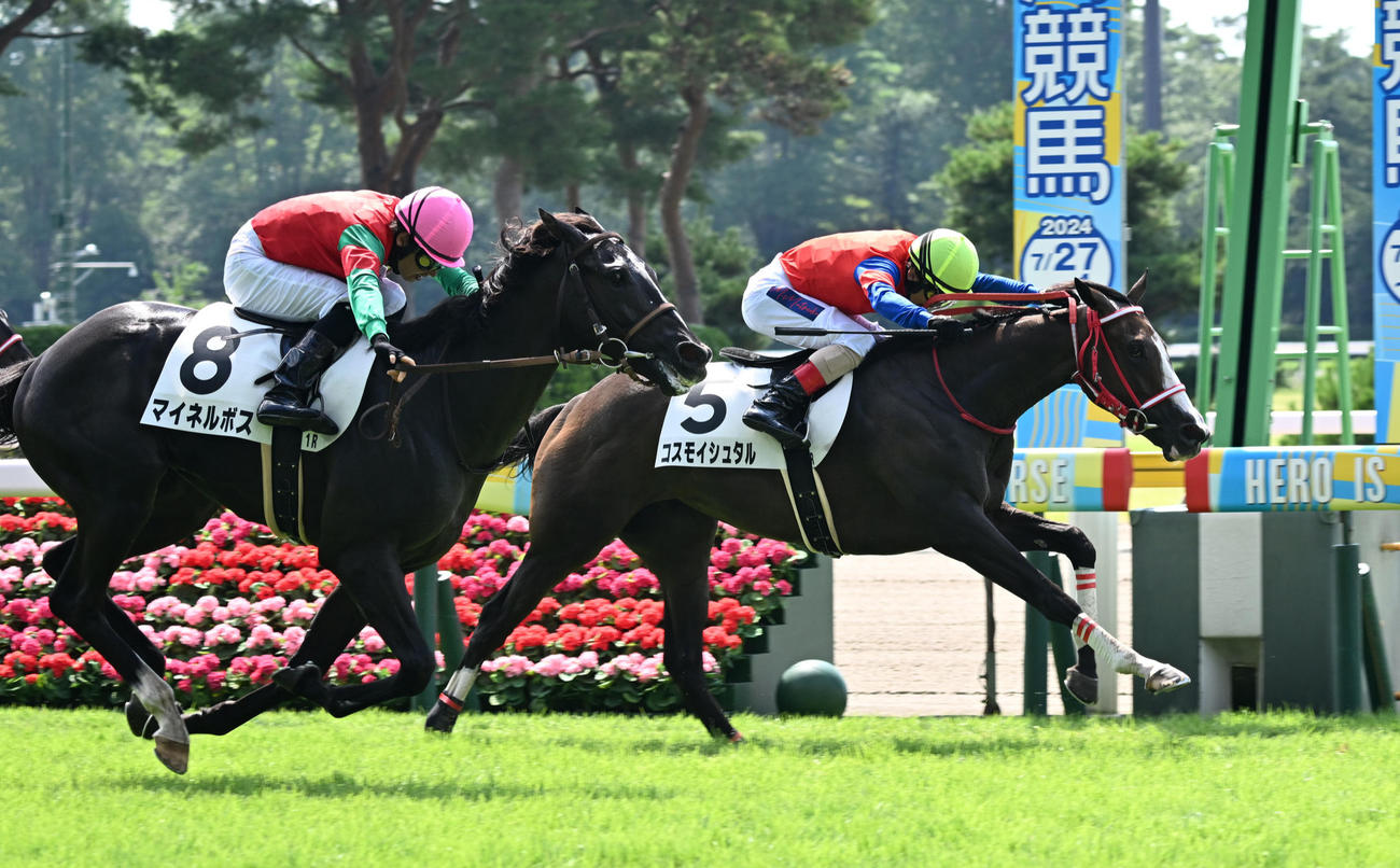 新潟1R、2歳未勝利戦を制したコスモイシュタルと松岡騎手。左は2着のマイネルボス（撮影・千葉一成）