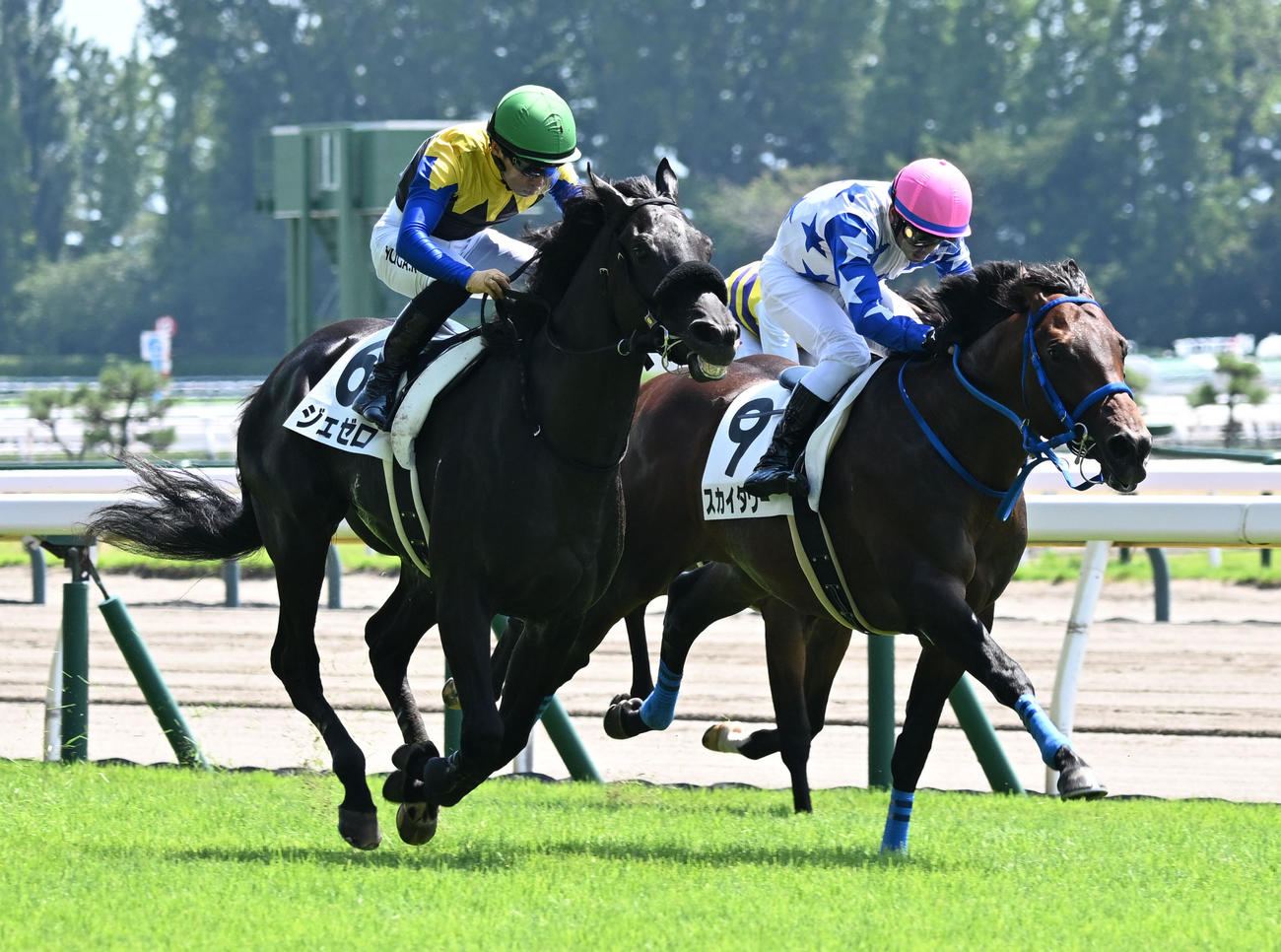 新潟3R、2歳新馬戦を制したジェゼロと川田騎手（左）（撮影・千葉一成）