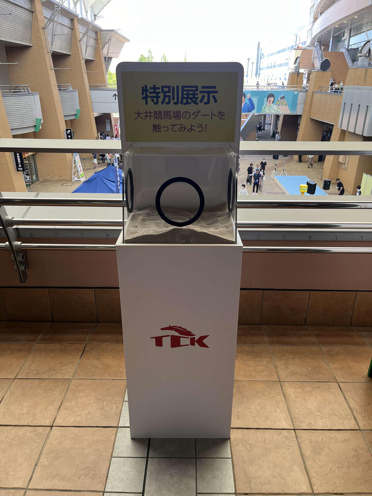 大井競馬場のダート