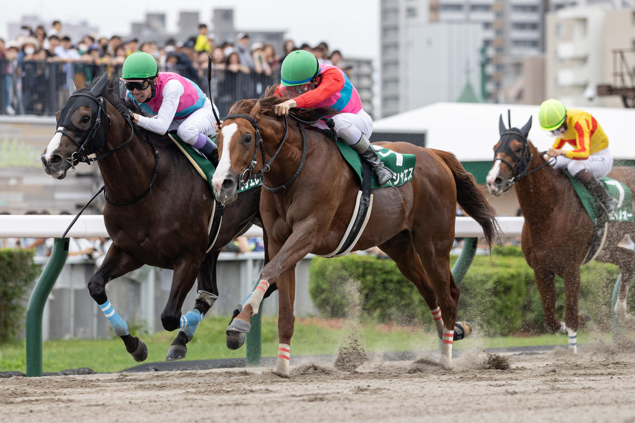 エルムSを制したペイシャエスと横山和騎手（中）（撮影・村野早祐）