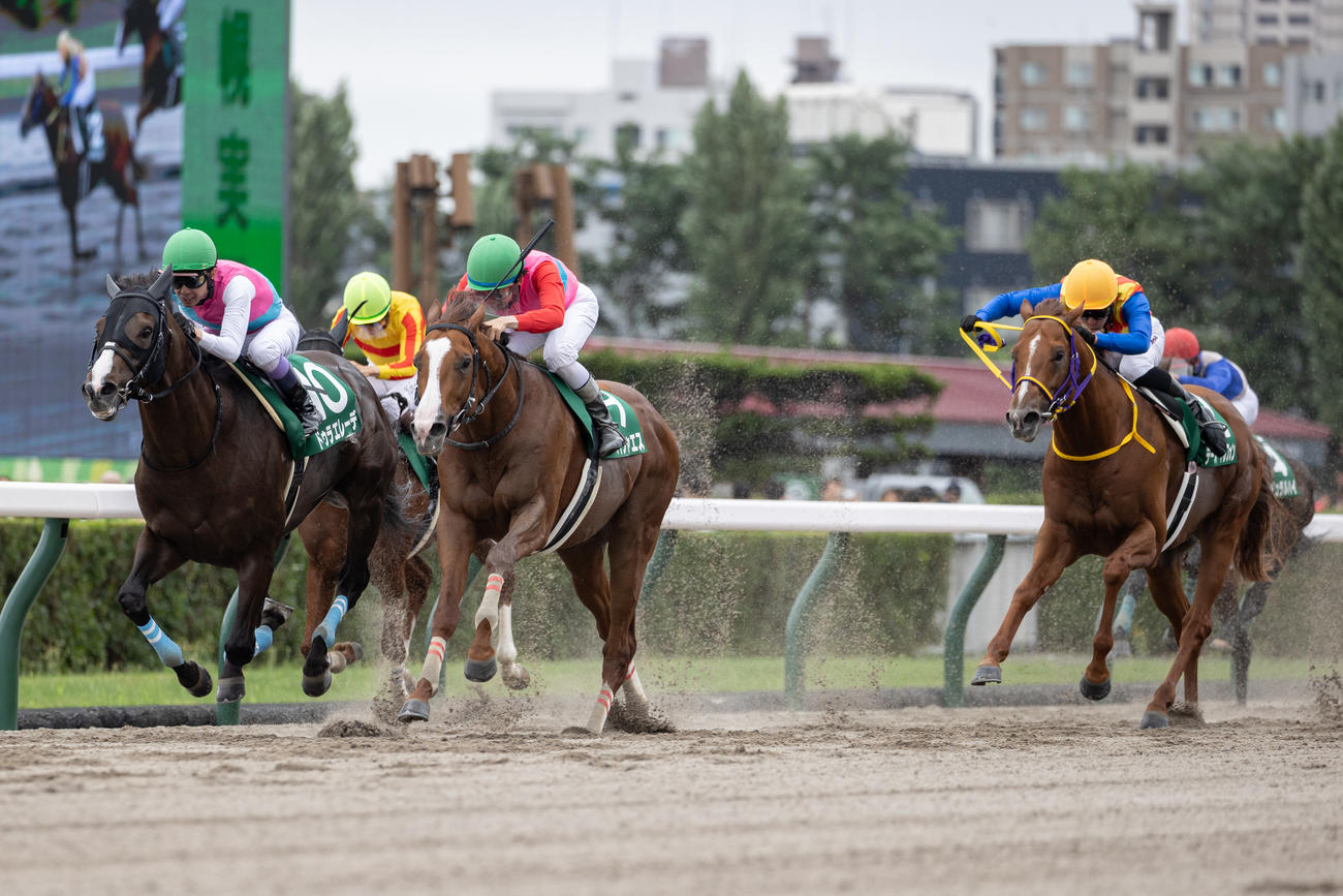 エルムSを制したペイシャエスと横山和騎手（中）（撮影・村野早祐）