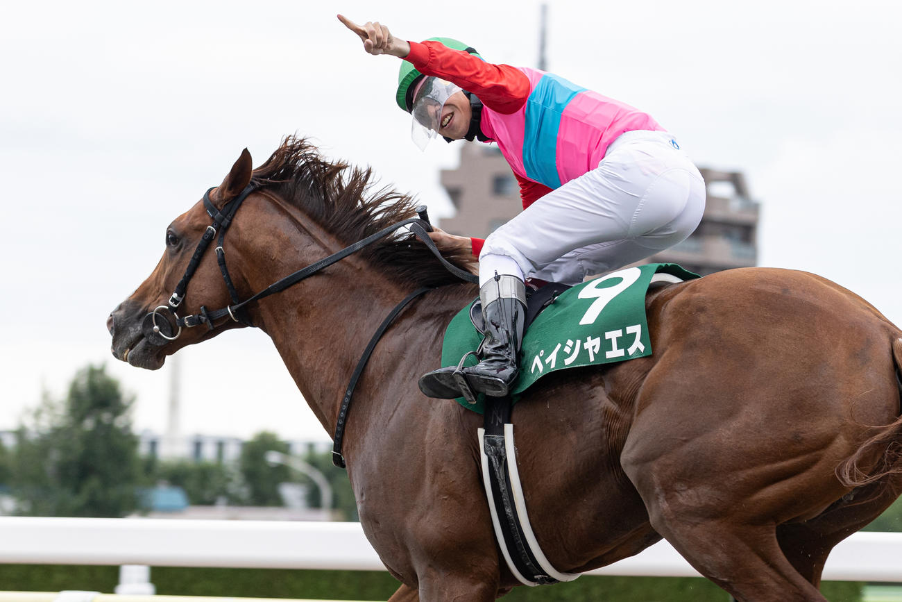 エルムSを制したペイシャエスと横山和騎手（撮影・村野早祐）