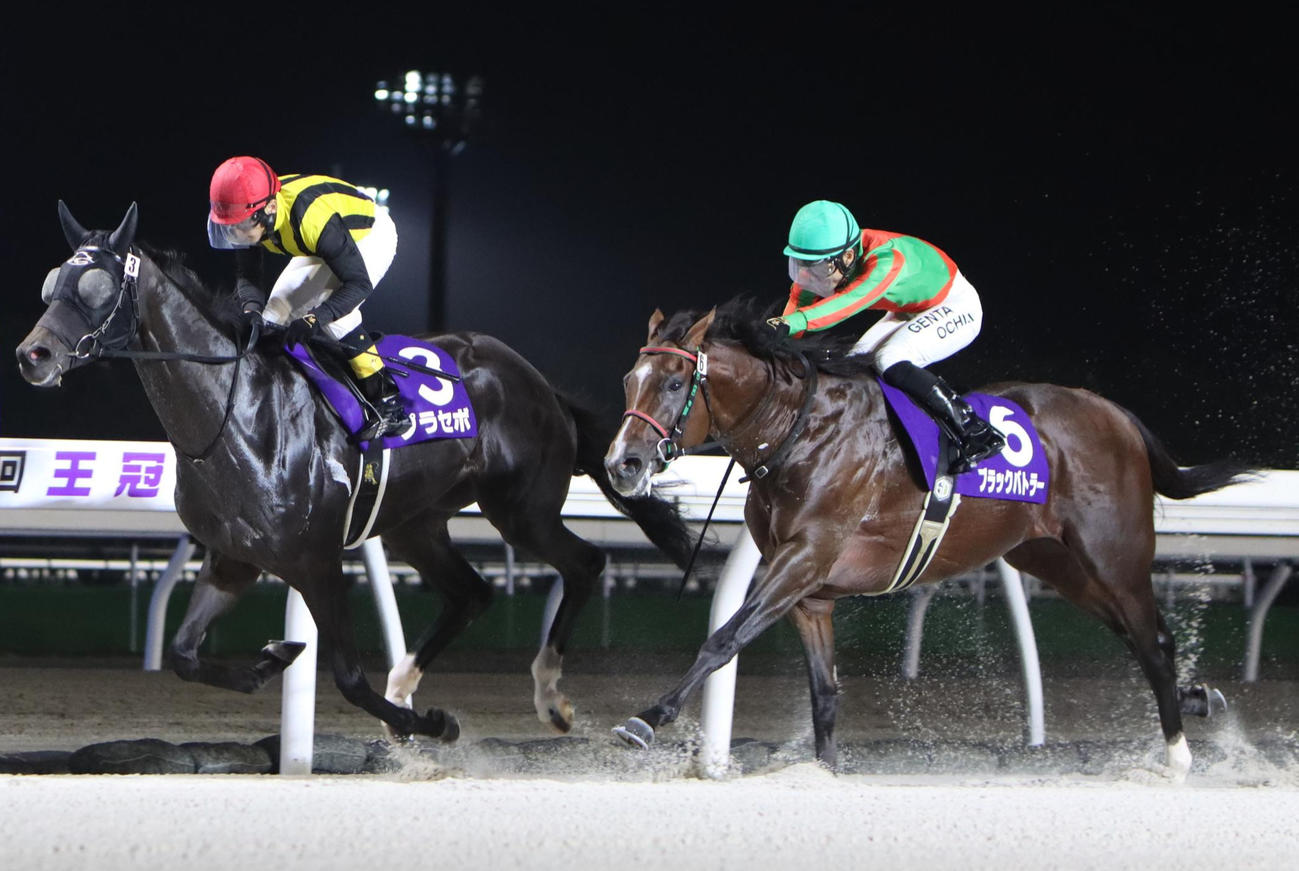 1日、王冠賞2着のブラックバトラー（右）。左はプラセボ