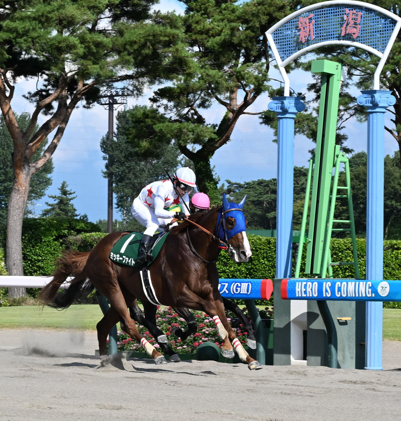 レパードステークスを制したミッキーファイトと戸崎騎手（手前）（撮影・千葉一成）