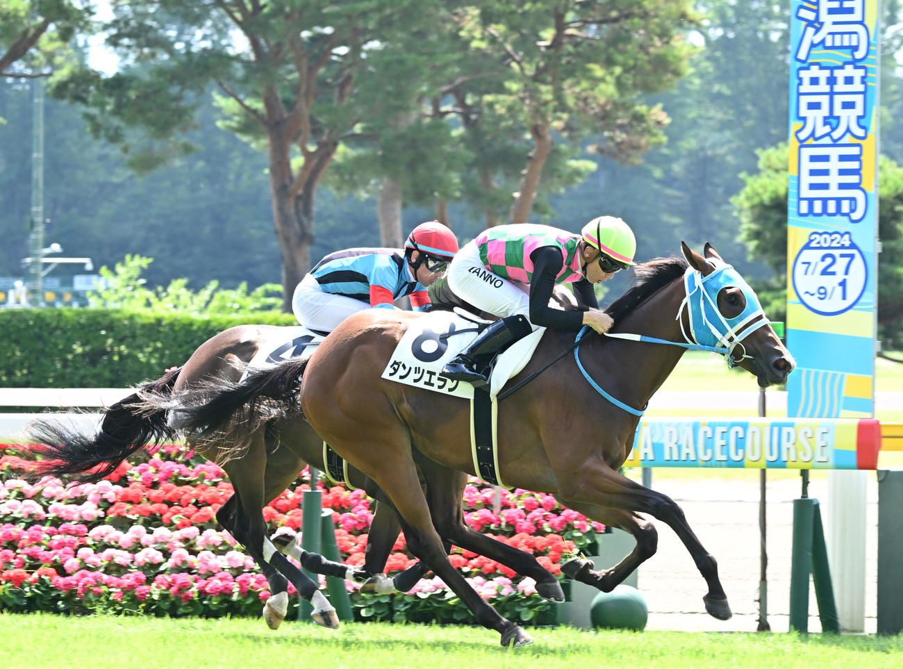 新潟2R　2歳新馬戦を制したダンツエランと団野騎手（手前）（撮影・千葉一成）