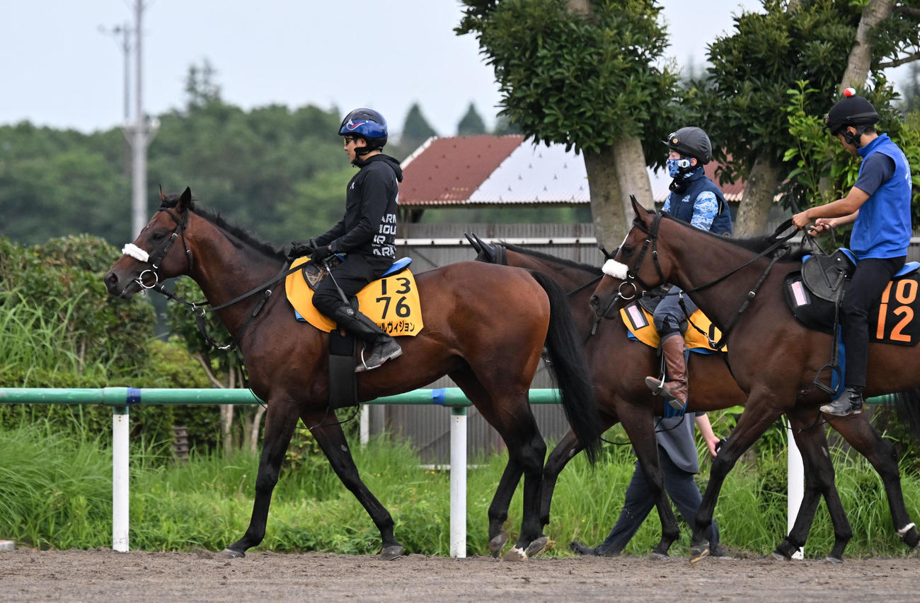 乗り運動するパラレルヴィジョン（2024年7月30日撮影）