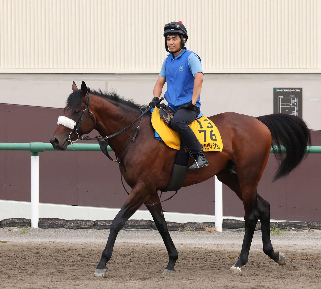 馬場に向かうパラレルヴィジョン（撮影・丹羽敏通）