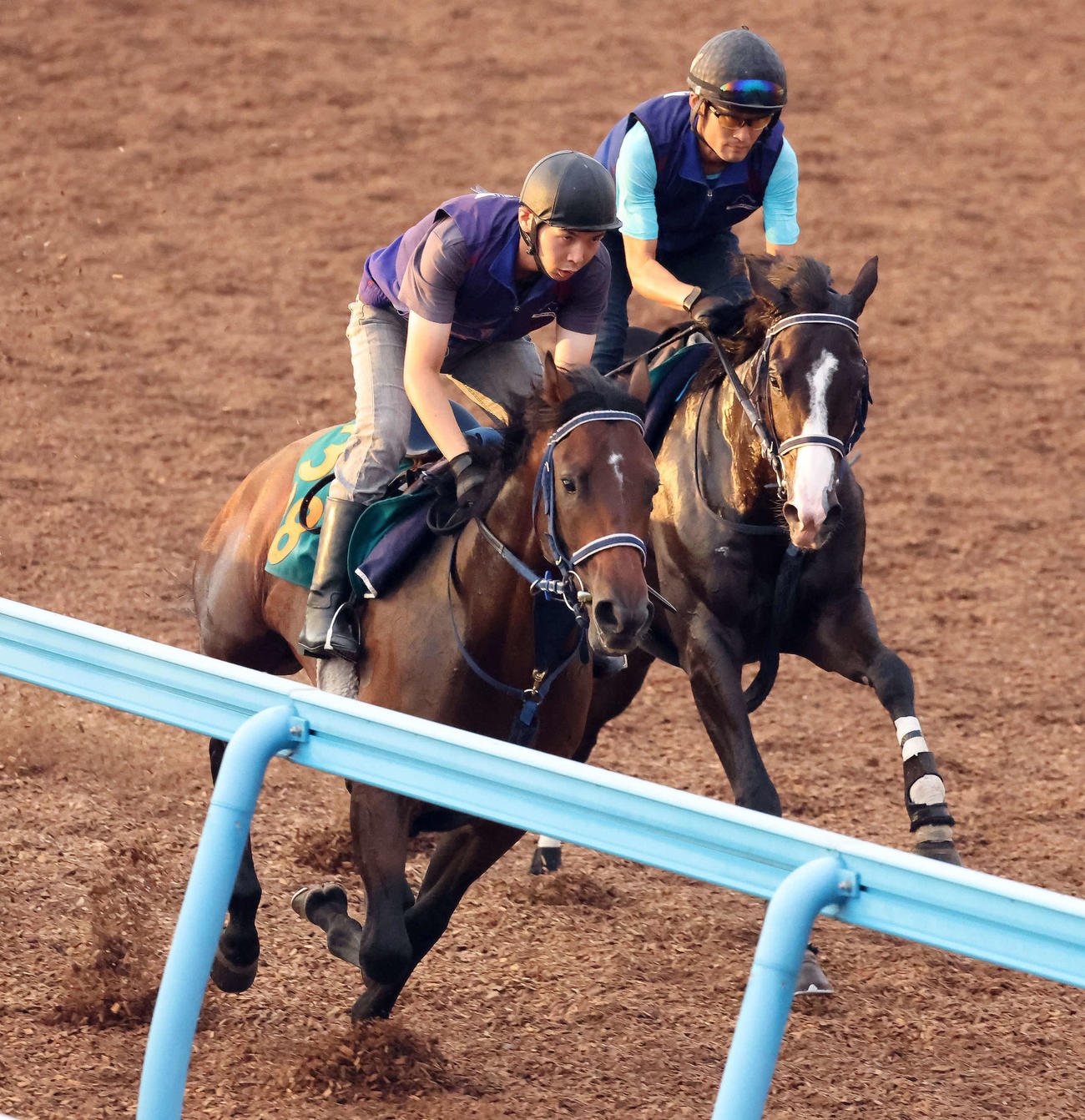 エデルクローネ（左）はマスカレードボールと併せて美浦ウッドで追い切られた（撮影・丹羽敏通）