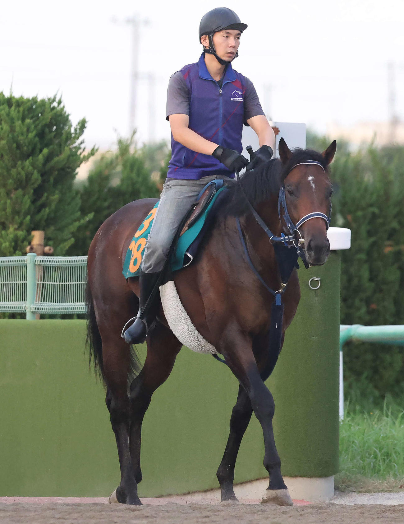 追い切りを終えて馬場を出るエデルクローネ（撮影・丹羽敏通）
