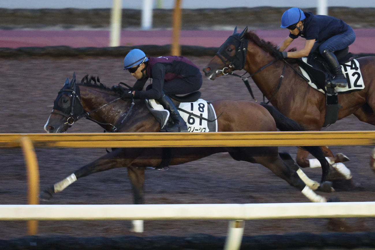 CWコースで併せ馬に先着するプログノーシス（左）