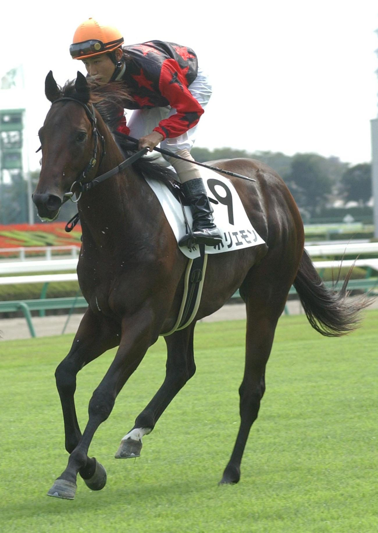 04年9月、新馬戦に出走したホリエモンは10着