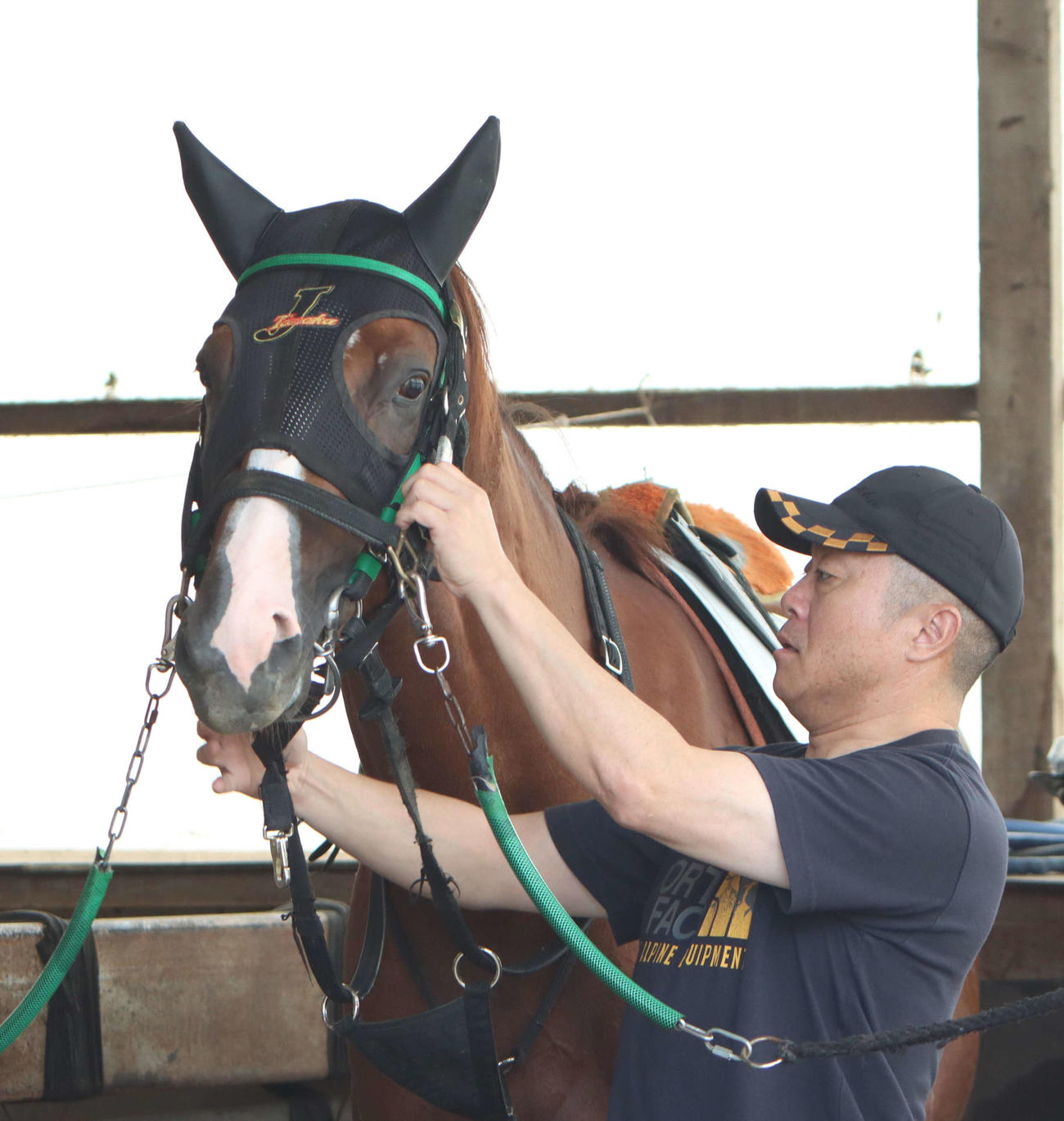 エイシンキャプテンの馬装をする田中淳師（撮影・奥村晶治）