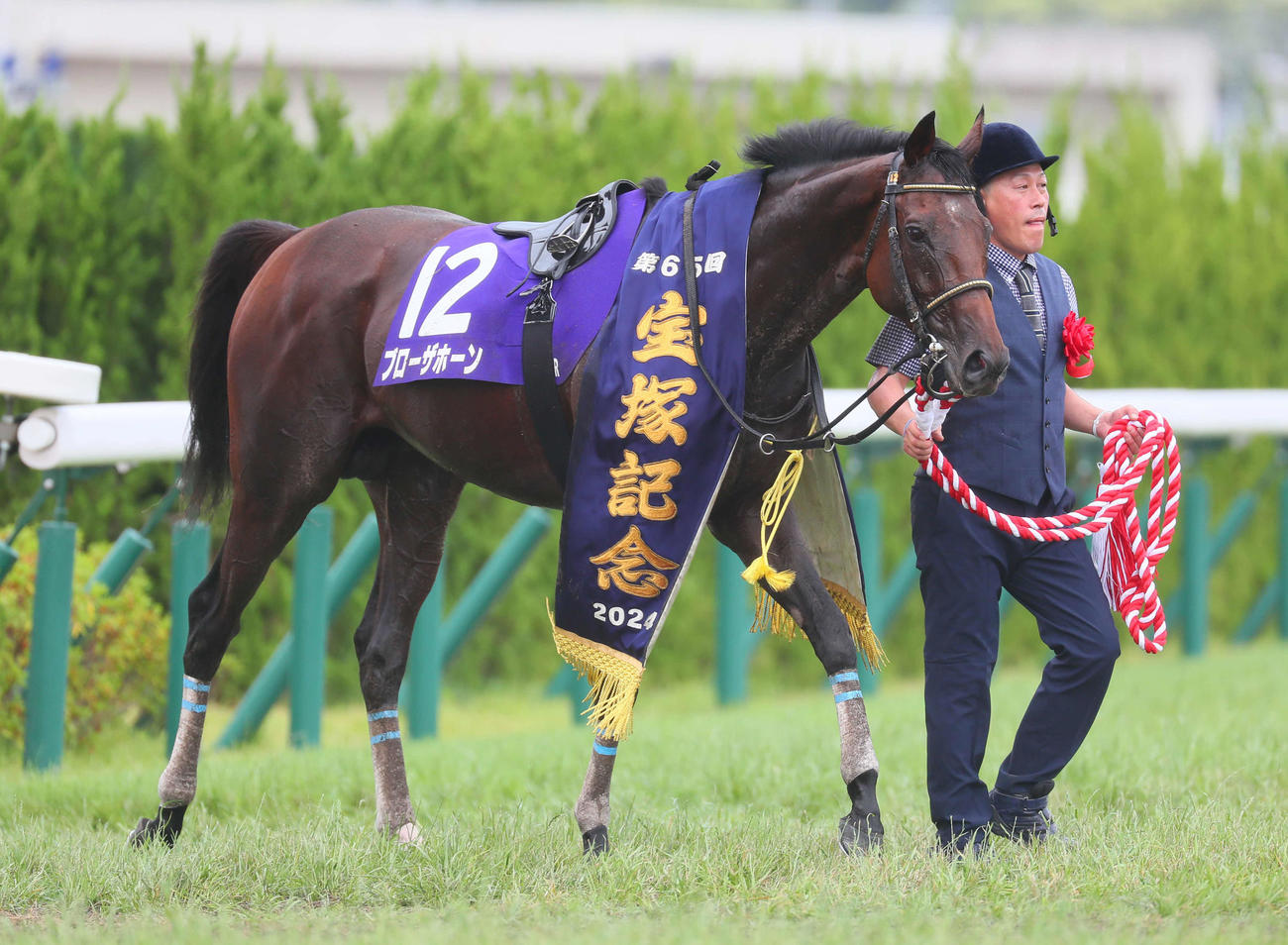 24年6月、宝塚記念を制したブローザホーン
