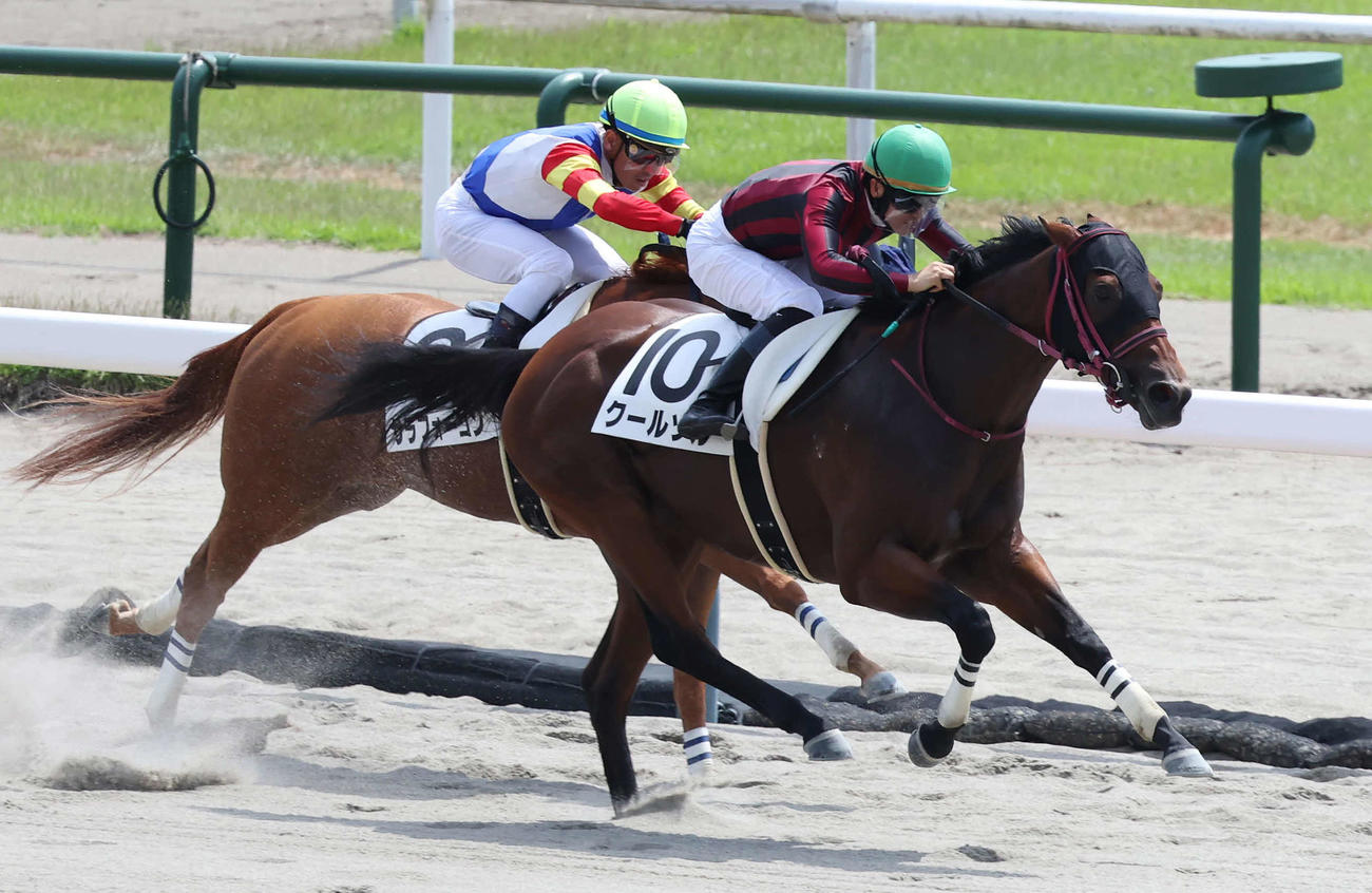 新潟2R、3歳牝馬限定の未勝利戦を制したクールソルと菅原明騎手（撮影・丹羽敏通）