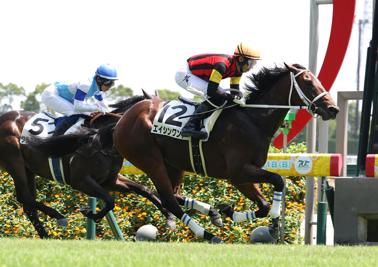 中京5R新馬戦を快勝したエイシンワンド（撮影・白石智彦）