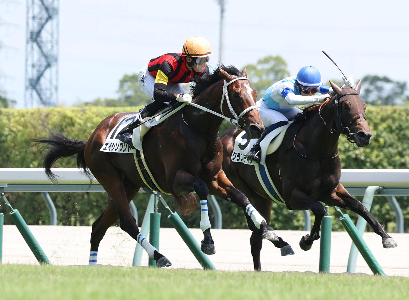 中京5R新馬戦を快勝したエイシンワンド（左）（撮影・白石智彦）