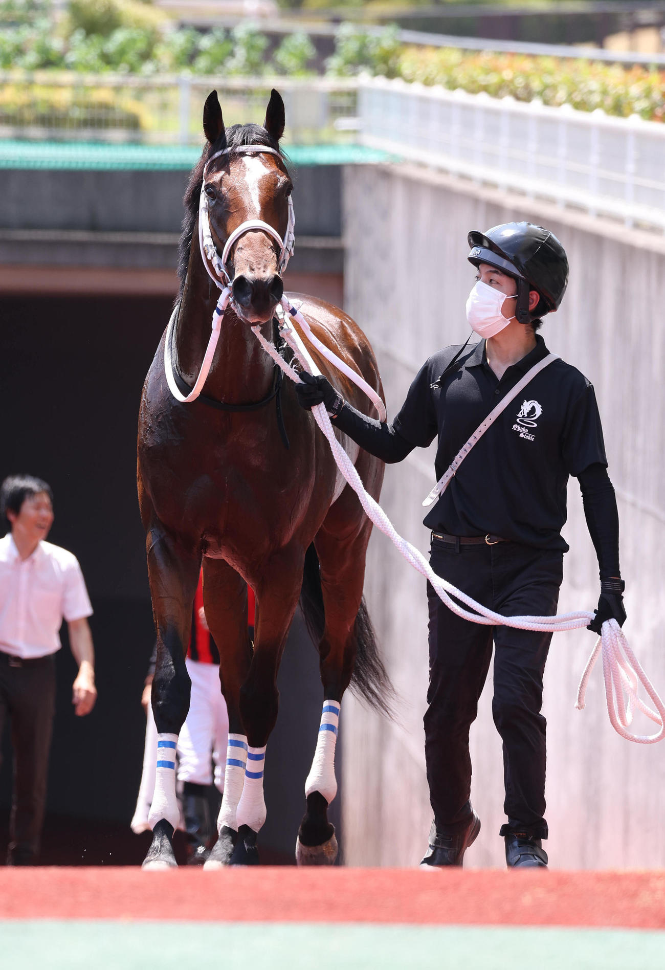中京5R新馬戦を快勝したエイシンワンド（撮影・白石智彦）