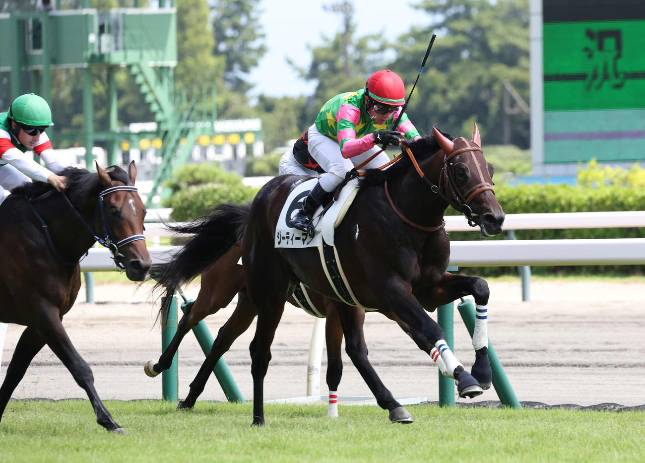 新潟5R新馬戦を制したジーティーマンと戸崎騎手（撮影・丹羽敏通）