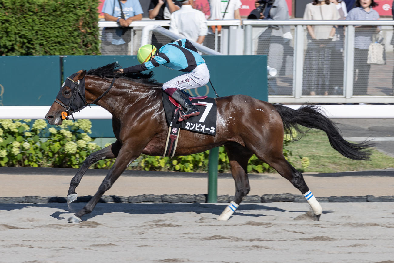 大雪Hを制したカンピオーネと横山武騎手（撮影・村野早祐）