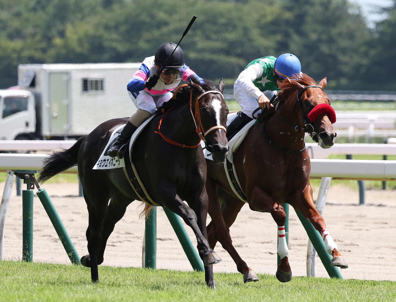 新潟3R、逃げたイノキ（右）をとらえて2歳未勝利戦を制したキョウエイボニータ（撮影・丹羽敏通）