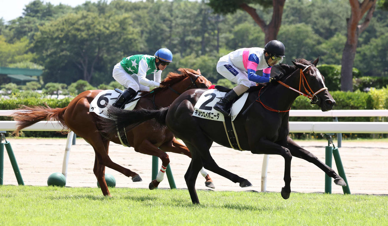 新潟3R、逃げたイノキ（左）をとらえて2歳未勝利戦を制したキョウエイボニータと松岡騎手（撮影・丹羽敏通）