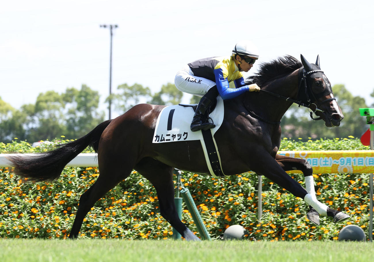 中京5R、直線抜け出して新馬戦を制したカムニャック（撮影・白石智彦）