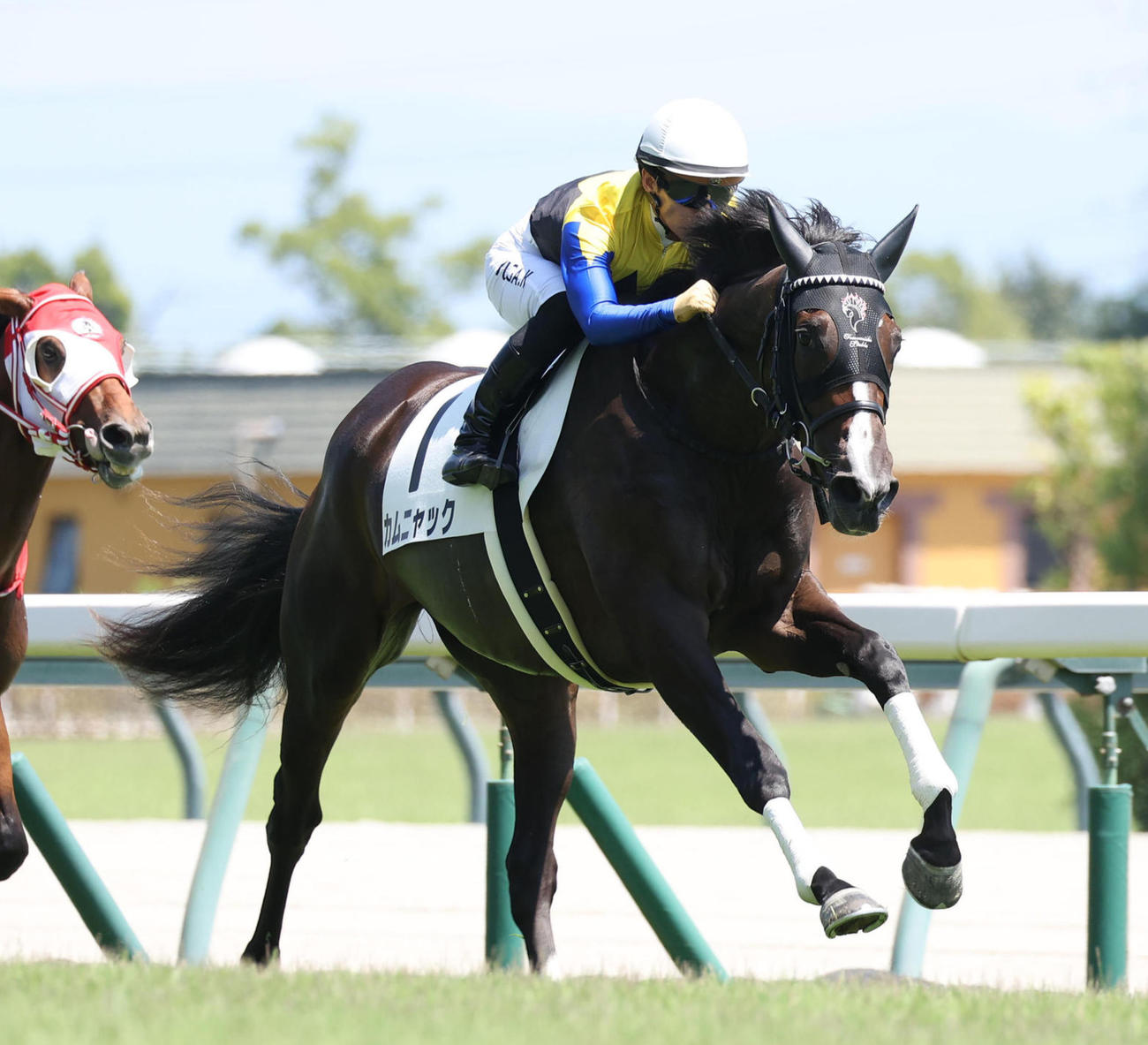 中京5R、直線鋭く伸びて新馬戦を制したカムニャックと川田騎手（撮影・白石智彦）