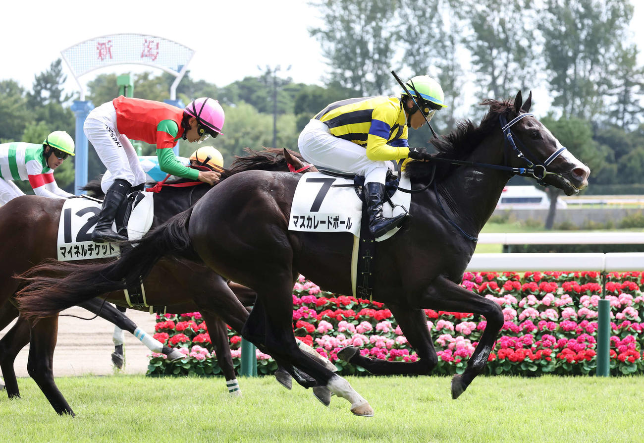 新潟5R新馬戦を制したマスカレードボールと戸崎騎手（撮影・丹羽敏通）