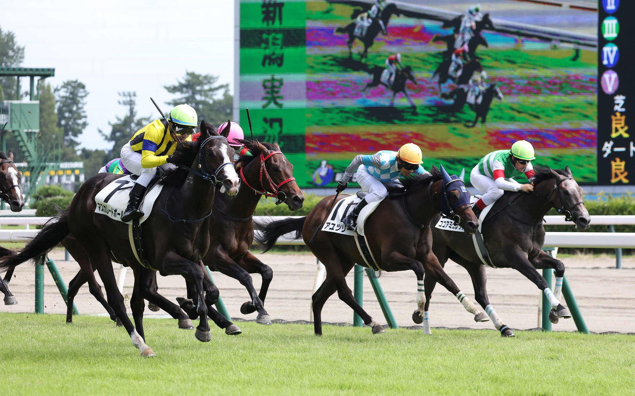 新潟5R新馬戦を制したマスカレードボールと戸崎騎手（左）（撮影・丹羽敏通）
