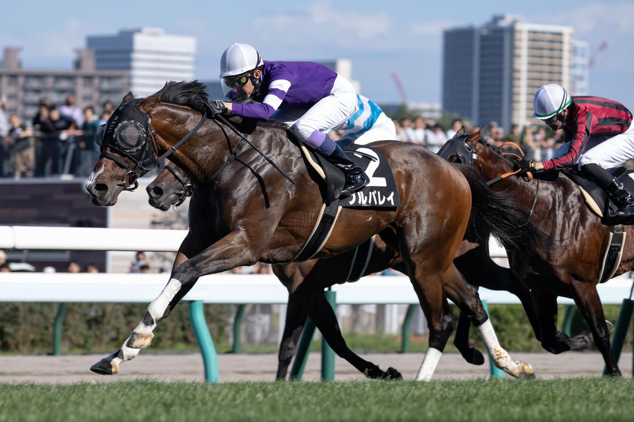 UHB賞を制したプルパレイと武豊騎手（撮影・村野早祐）