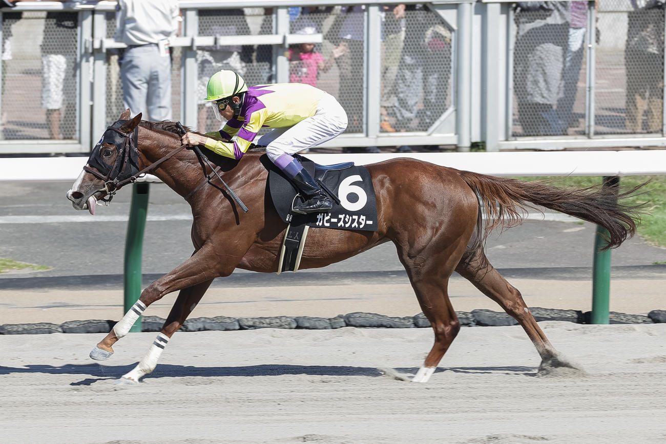 桑園特別を制したガビーズシスターと武豊騎手（撮影・村野早祐）