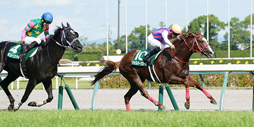CBC賞を制したジャスパークローネ(撮影・森本幸一)=2023年7月2日、中京競馬場