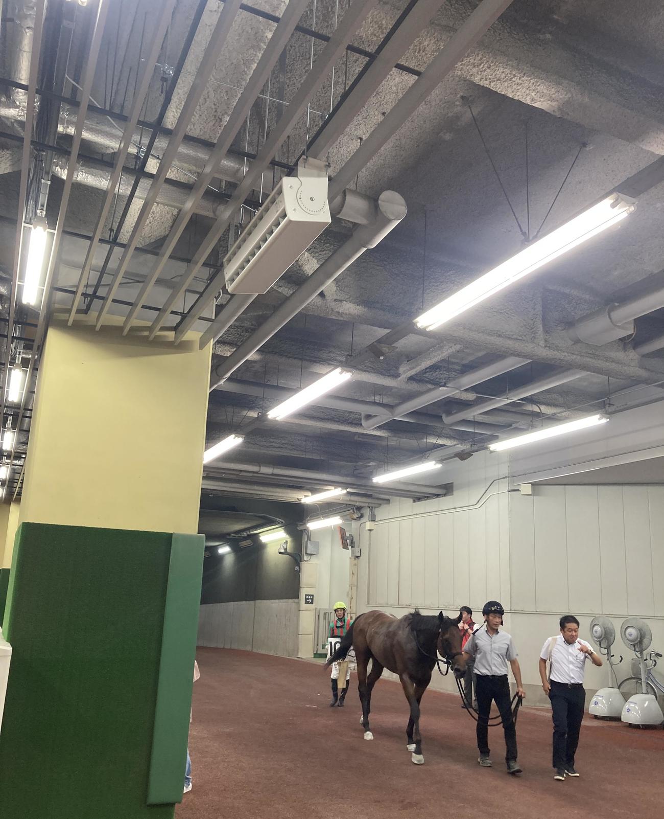 検量室前の天井に設置された送風ファン（撮影・太田尚樹）