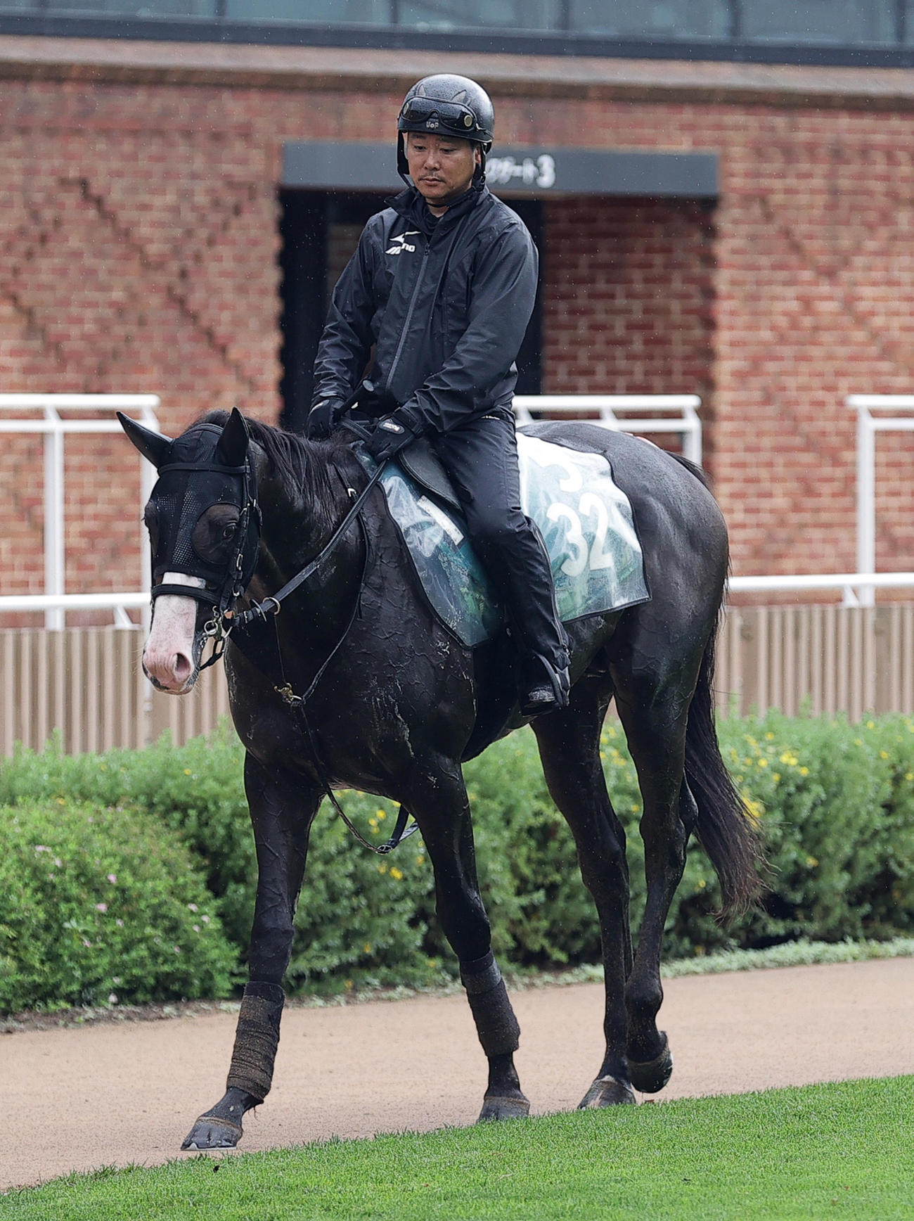 函館競馬場で調整するショウナンバルドル