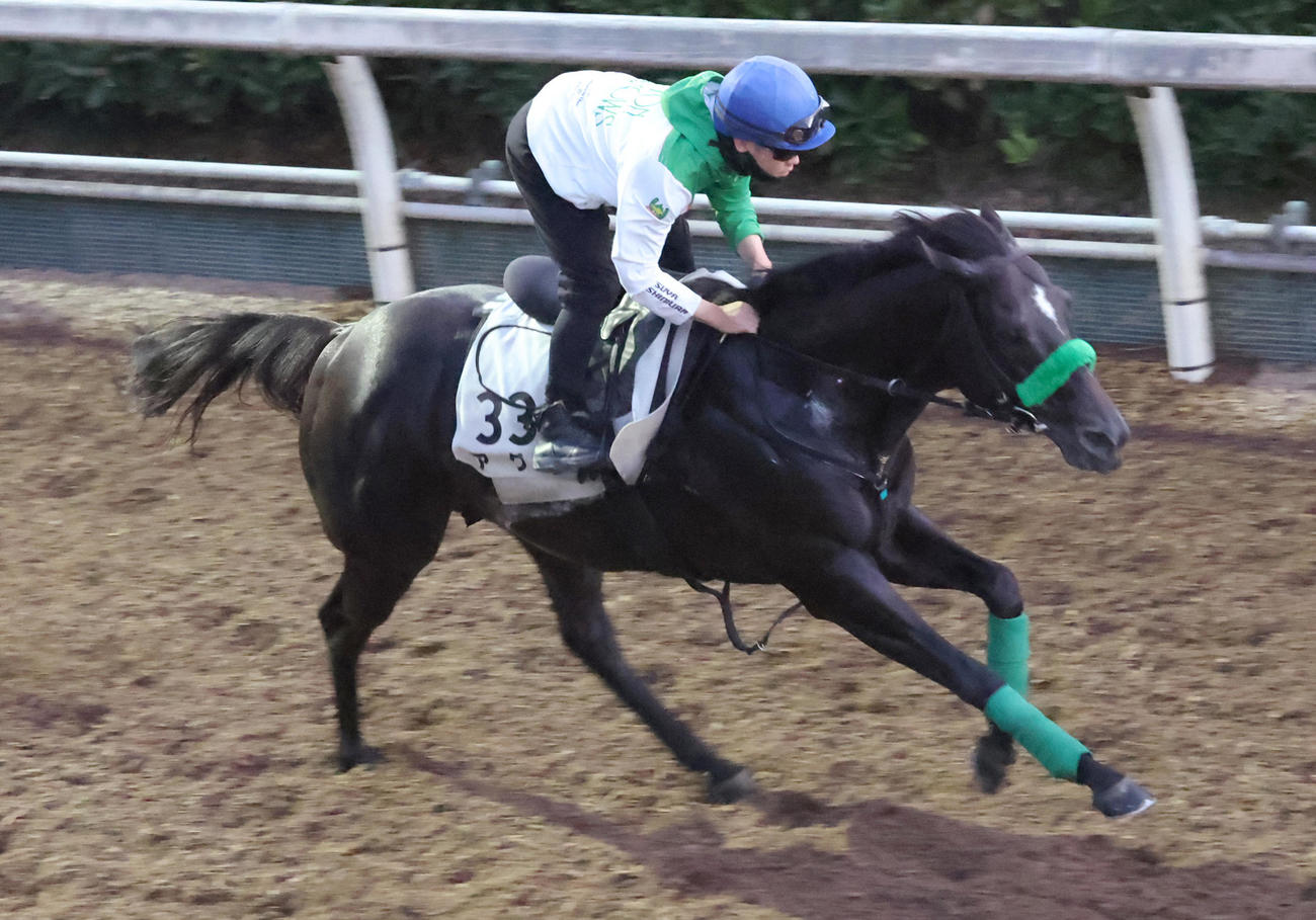 西村淳也騎手を背に坂路で追い切るアグリ