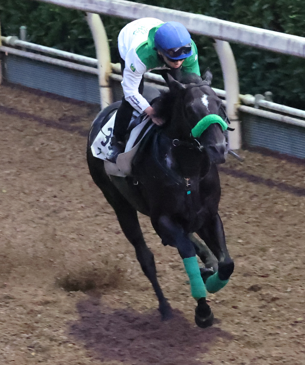 西村淳也騎手を背に坂路で追い切るアグリ